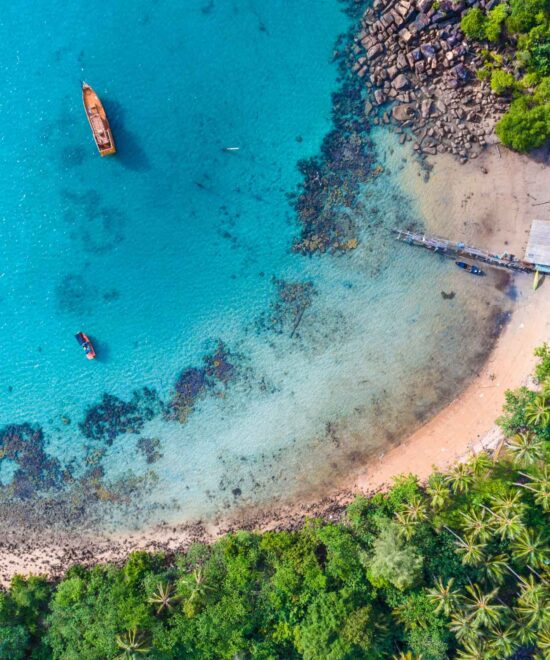 Safari Blue Adventure