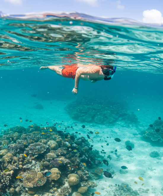 Snorkeling at Mnemba