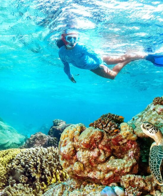 Mnemba Atoll Snorkeling & Nungwi Cultural Day Trip – Zanzibar