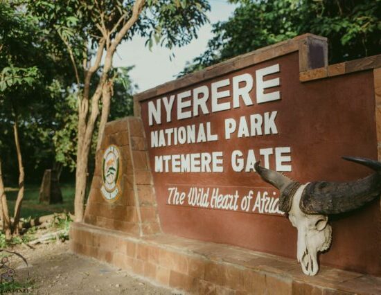 Day Trip Fly-in Safari to Selous Game Reserve from Zanzibar